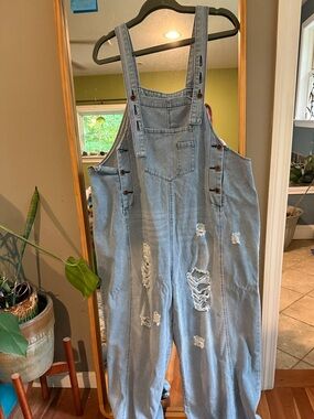 Light Wash Distressed Denim Overalls